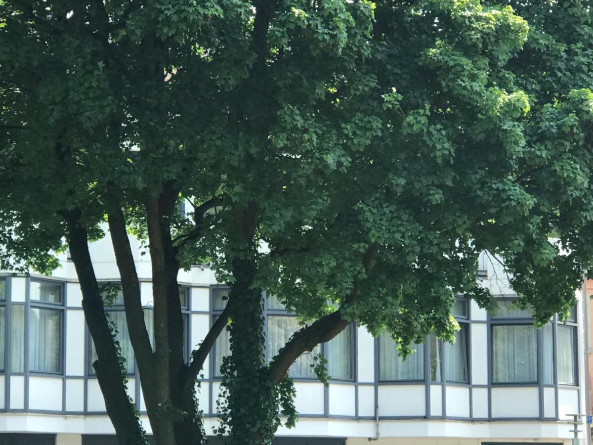 Gaestezimmer Klein Und Fein Fuer Nach Dem Wein Neumagen-Dhron Kültér fotó